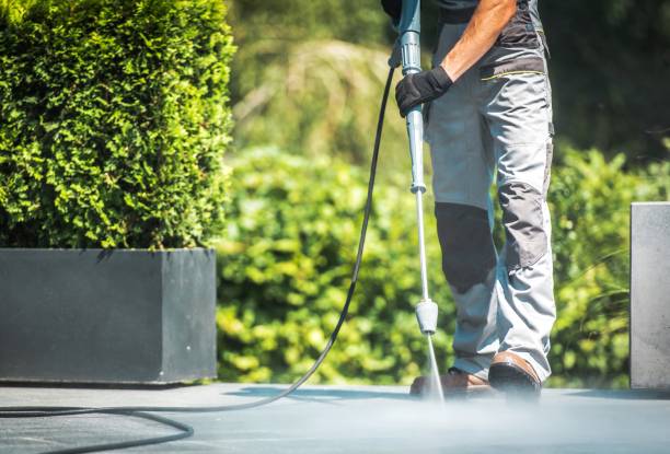 Pre-Holiday Cleaning in Middletown, DE
